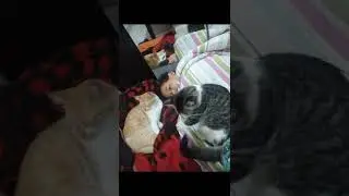 Há momentos que o silêncio diz tudo😽