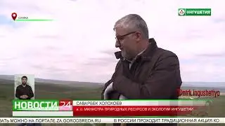 Посадка саженцев ясеня и акации на склонах Сунженского хребта в рамках акции «Сад Памяти»