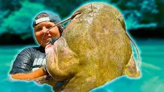 TENNESSEE PRODUCES BIGGEST FISH of STATE SERIES! 10/10 CATFISH!