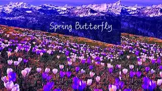[FREE] 808 MIDI Kit 2021 - Spring Butterfly