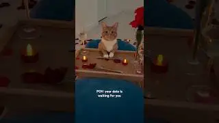 Ginger still waiting for you 🌹 