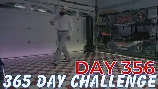 MY 365 DAY  CHALLENGE DAY 356 OF 365