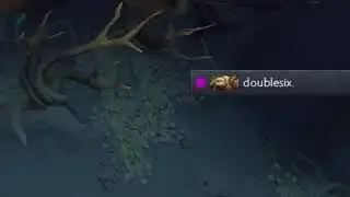 чем то они похожи