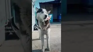просто люблю его