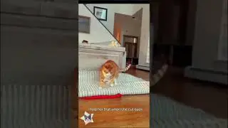 Давайте улыбнемся