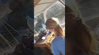 Тренеруемся причаливать лагом на своей длиннокилевой яхте.