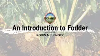 Introduction to Fodder: September 2023 National Virtual Gathering