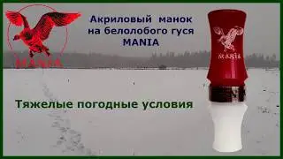 Манок на белолобого гуся Мания акрил + латунь.