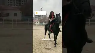 😆🐴  Човандоз духтар