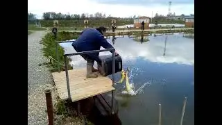 IMG 5255