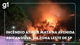 Incêndio atinge área de mata na Avenida Aricanduva, na Zona Leste de SP 