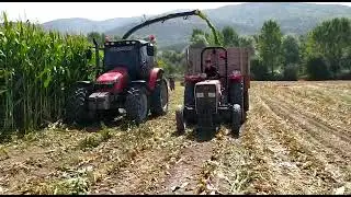 Massey Ferguson 5440|260G Silaj Yapımı