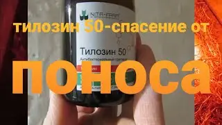 Какое лекарство поможет избавиться ОТ ПОНОСА у поросят. О лекарстве перемотайте видео на 4:00