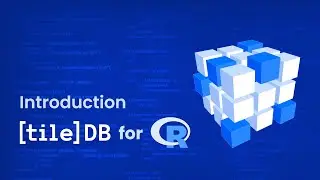 Introduction to TileDB for R