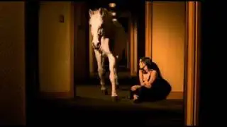 The Corrs - Give Me A Reason [Official Video]