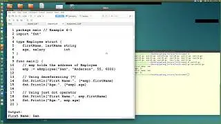 golang chapter4