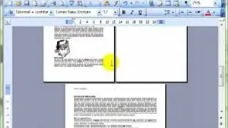 AM 3.5 .1 Sections Microsoft Word 2003