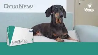 DoxiNew - World Veterinária