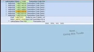 How Do I Check Authorization TCODE SAP