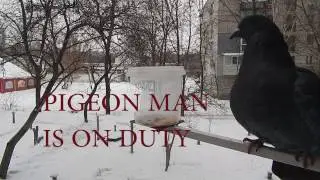 When your bird is high as fuck
