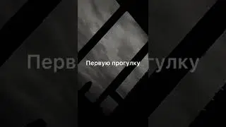 А ты помнишь первую встречу? как всё начиналось..