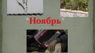 Ноябрь 2016 года. *Природа и музыка*