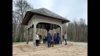 Winterwandeling in het Schaffelaarsebos