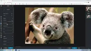 how to edit photo on online  for pc  ..। pixlr eidittor  ..