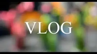 VLOG:Гуляем по городу