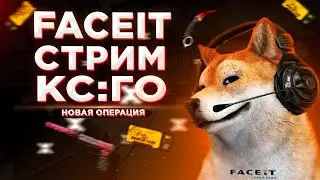 СТРИМ КС ГО/СТРИМ ПО КС ГО/ CТРИМ CS:GO, STREAM CSGO .ОТ 1 СИЛЬВЕРА ДО ГЛОБАЛА/ FACEIT ФЕЙСИТ