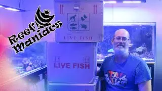 Unboxing Fish, Soft Corals and Inverts from Kenya