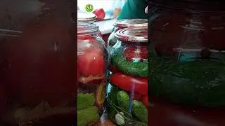 Элитные помидоры!На все зимние праздники! #ухтыкухня #вкусноибыстро #заготовкиназиму #помидоры