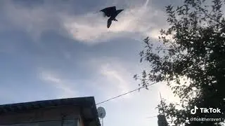 Ария, клип😉. Кто помнит тот поймёт 🙃