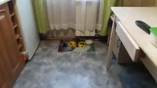 я маму жду