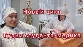 Будни студента-медика/новый цикл