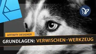 Affinity Designer-Tutorial: Verwischen-Werkzeug