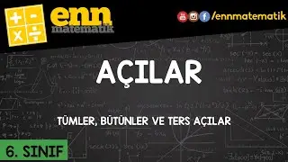 6. Sınıf Açılar Konusu: Tümler, Bütünler ve Ters Açılar