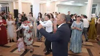 туй