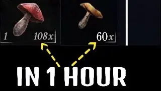 Mortal Shell: A Mushroom Farming Guide