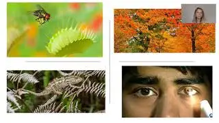 Unifying Themes in Biology and Characteristics of Life