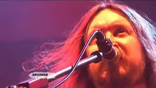 Гражданская Оборона - (22) Кролики (Зачем снятся сны)
