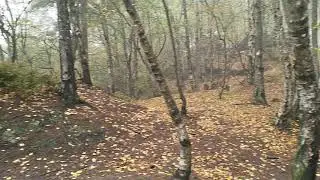 прогулка в Чехии