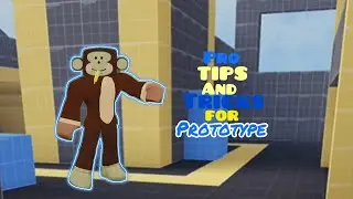 Pro Tips and Tricks For PROTOTYPE MAP!