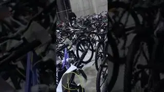 10 марта 2024 г.