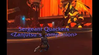 WoW: DF - Sergeant Quackers (Ducks in a Row)