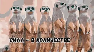 Сурикаты вместе защищаются от змеи