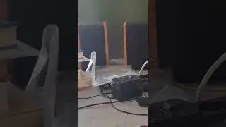 Звук маленьких полочников