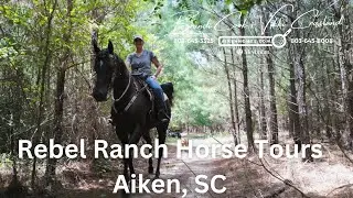 Unforgettable Horseback Adventures In Aiken: Ride With Rebel Ranch!
