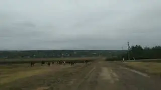 Подъезжаем к Задунаевке