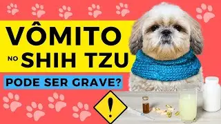 🆘 Did your Shih Tzu vomit? See the main causes and how to help!